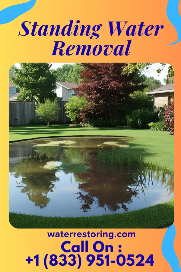 Standing Water Removal in Goodlettsville, TN